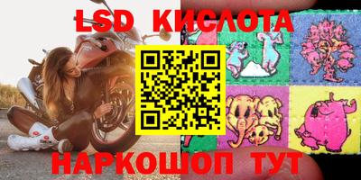гидропоника Пенза